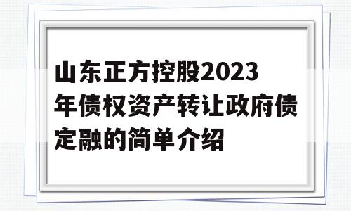 山东正方控股2023年债权资产转让政府债定融的简单介绍