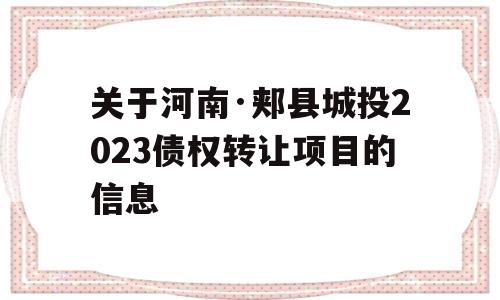 关于河南·郏县城投2023债权转让项目的信息