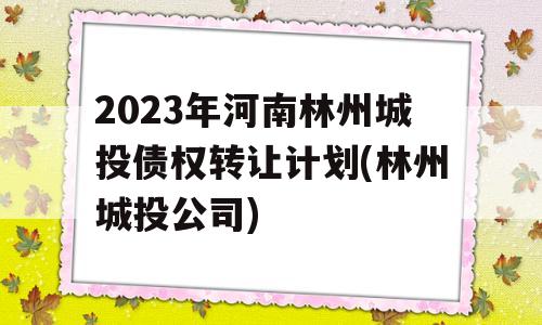 2023年河南林州城投债权转让计划(林州城投公司)