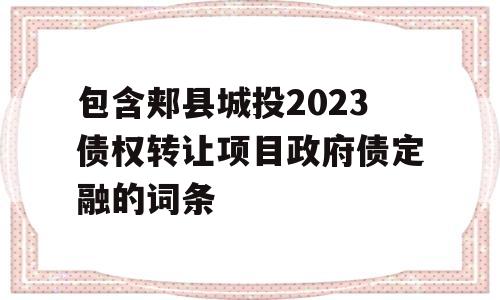 包含郏县城投2023债权转让项目政府债定融的词条