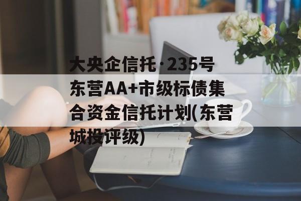 大央企信托·235号东营AA+市级标债集合资金信托计划(东营城投评级)