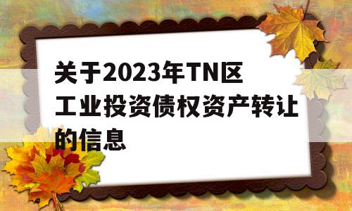 关于2023年TN区工业投资债权资产转让的信息