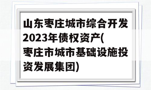 山东枣庄城市综合开发2023年债权资产(枣庄市城市基础设施投资发展集团)