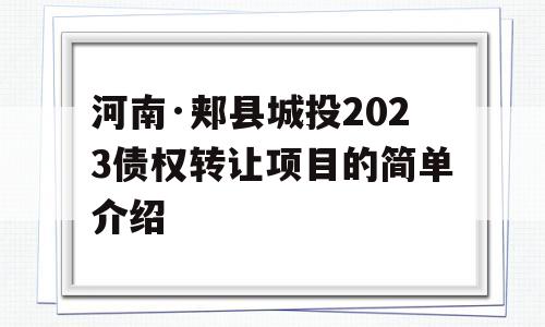 河南·郏县城投2023债权转让项目的简单介绍