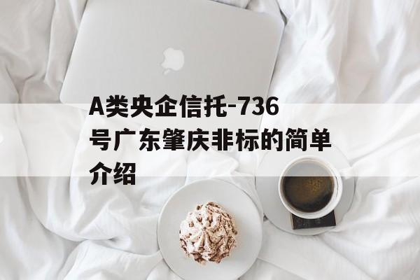 A类央企信托-736号广东肇庆非标的简单介绍