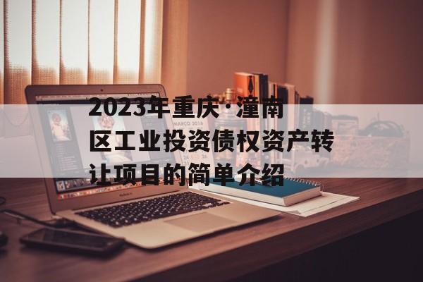 2023年重庆·潼南区工业投资债权资产转让项目的简单介绍