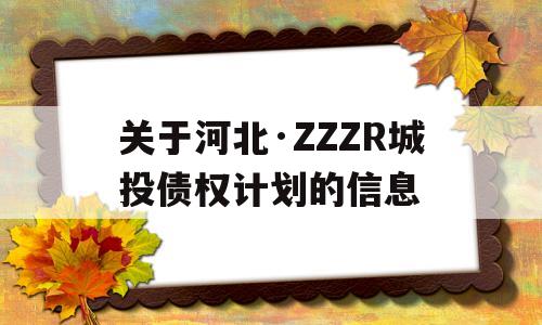 关于河北·ZZZR城投债权计划的信息