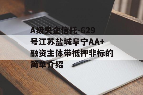 A级央企信托-629号江苏盐城阜宁AA+融资主体带抵押非标的简单介绍