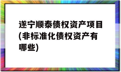 遂宁顺泰债权资产项目(非标准化债权资产有哪些)