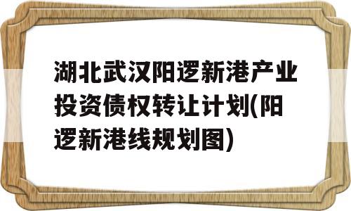 湖北武汉阳逻新港产业投资债权转让计划(阳逻新港线规划图)