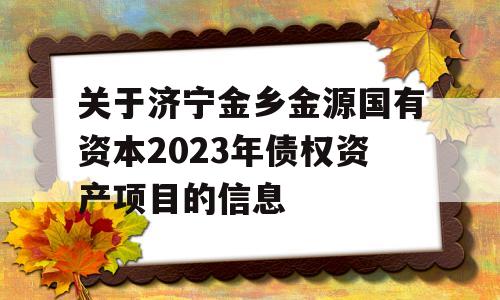 关于济宁金乡金源国有资本2023年债权资产项目的信息