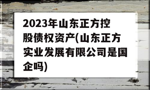 2023年山东正方控股债权资产(山东正方实业发展有限公司是国企吗)