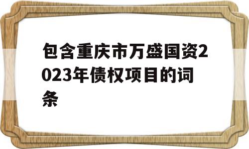 包含重庆市万盛国资2023年债权项目的词条