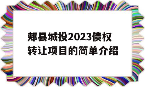 郏县城投2023债权转让项目的简单介绍