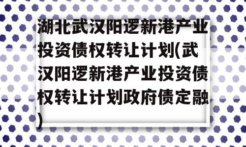 湖北武汉阳逻新港产业投资债权转让计划(武汉阳逻新港产业投资债权转让计划政府债定融)