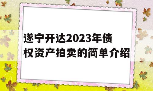 遂宁开达2023年债权资产拍卖的简单介绍