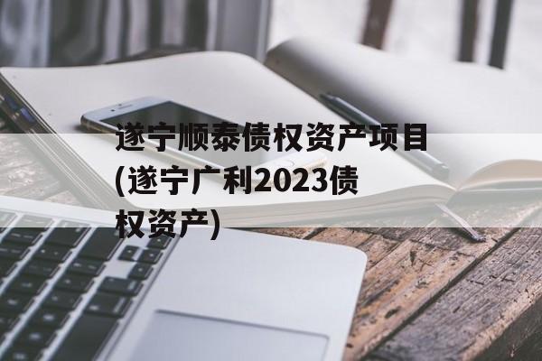 遂宁顺泰债权资产项目(遂宁广利2023债权资产)