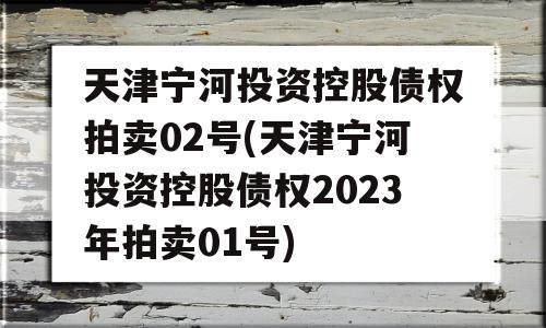 天津宁河投资控股债权拍卖02号(天津宁河投资控股债权2023年拍卖01号)