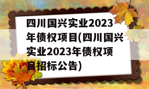 四川国兴实业2023年债权项目(四川国兴实业2023年债权项目招标公告)