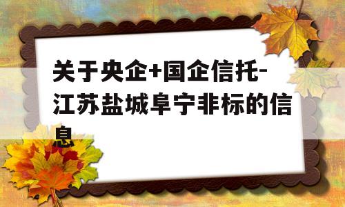 关于央企+国企信托-江苏盐城阜宁非标的信息