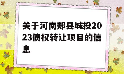 关于河南郏县城投2023债权转让项目的信息