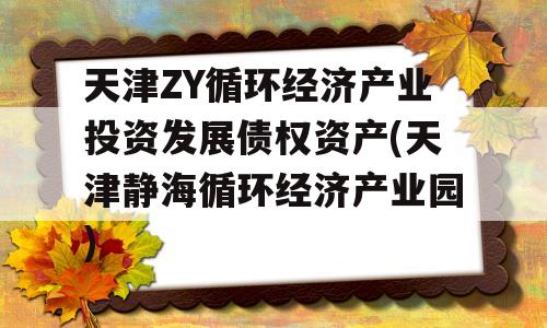 天津ZY循环经济产业投资发展债权资产(天津静海循环经济产业园)