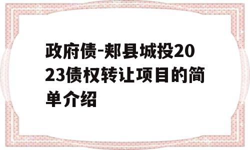 政府债-郏县城投2023债权转让项目的简单介绍