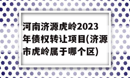 河南济源虎岭2023年债权转让项目(济源市虎岭属于哪个区)