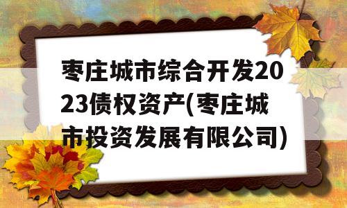 枣庄城市综合开发2023债权资产(枣庄城市投资发展有限公司)