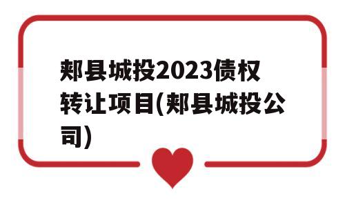 郏县城投2023债权转让项目(郏县城投公司)