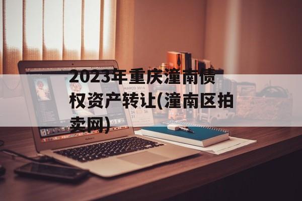 2023年重庆潼南债权资产转让(潼南区拍卖网)