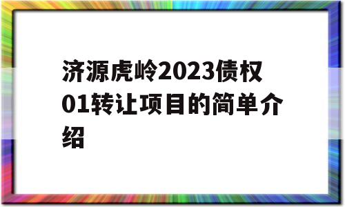 济源虎岭2023债权01转让项目的简单介绍