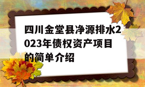 四川金堂县净源排水2023年债权资产项目的简单介绍