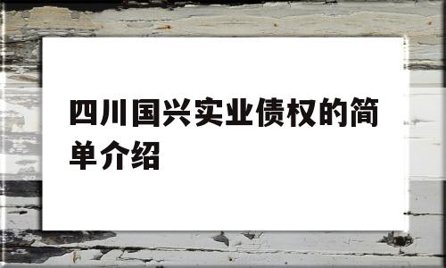 四川国兴实业债权的简单介绍