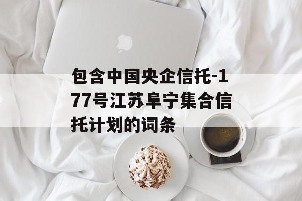 包含中国央企信托-177号江苏阜宁集合信托计划的词条