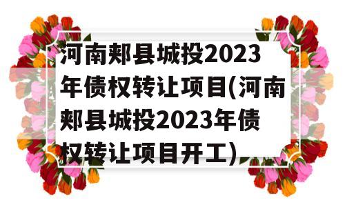 河南郏县城投2023年债权转让项目(河南郏县城投2023年债权转让项目开工)