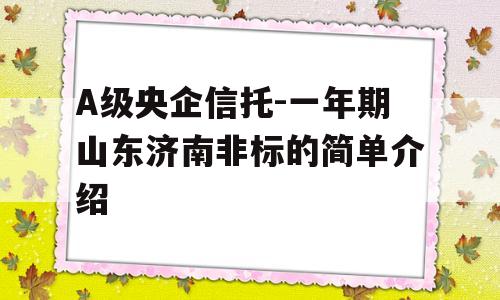 A级央企信托-一年期山东济南非标的简单介绍