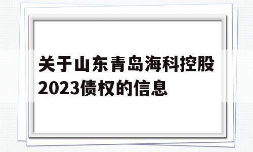 关于山东青岛海科控股2023债权的信息