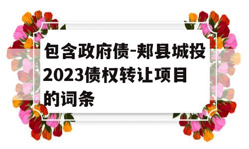 包含政府债-郏县城投2023债权转让项目的词条