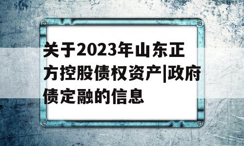 关于2023年山东正方控股债权资产|政府债定融的信息