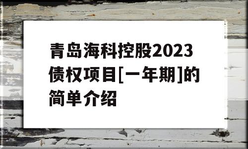 青岛海科控股2023债权项目[一年期]的简单介绍