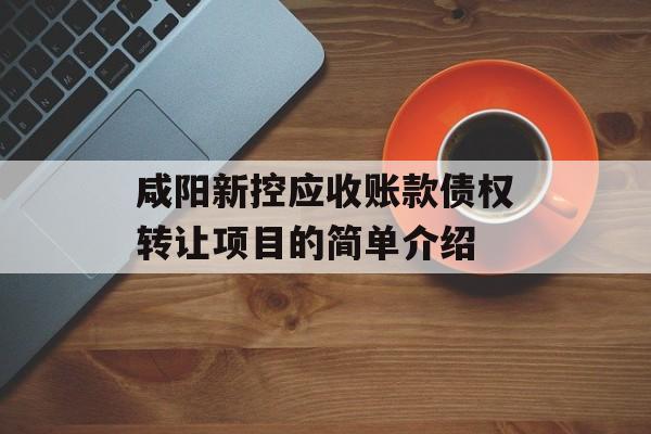 咸阳新控应收账款债权转让项目的简单介绍