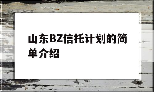 山东BZ信托计划的简单介绍