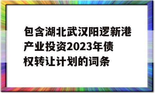 包含湖北武汉阳逻新港产业投资2023年债权转让计划的词条