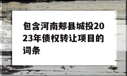 包含河南郏县城投2023年债权转让项目的词条