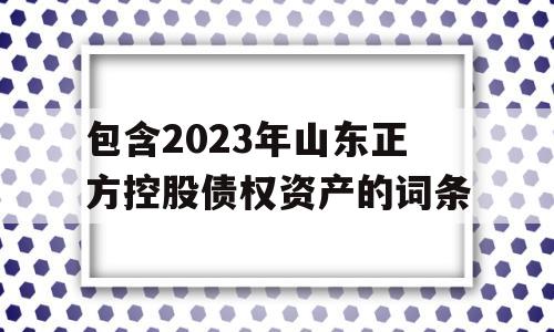 包含2023年山东正方控股债权资产的词条