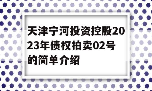 天津宁河投资控股2023年债权拍卖02号的简单介绍