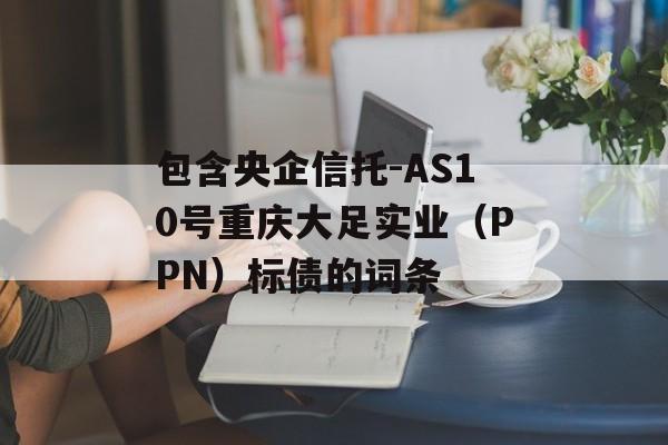 包含央企信托-AS10号重庆大足实业（PPN）标债的词条