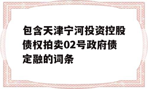 包含天津宁河投资控股债权拍卖02号政府债定融的词条