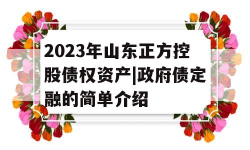 2023年山东正方控股债权资产|政府债定融的简单介绍